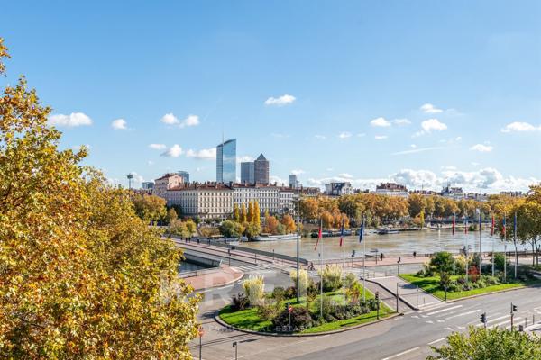 Magnifique Appartement type Loft avec Vue Rhône