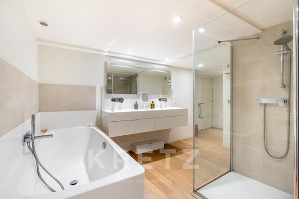 Magnifique Appartement type Loft avec Vue Rhône