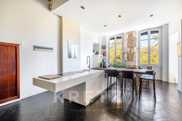 Magnifique Appartement type Loft avec Vue Rhône
