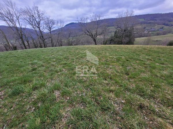 **À vendre : Terrain constructible à Conques-en-Rouergue !**
