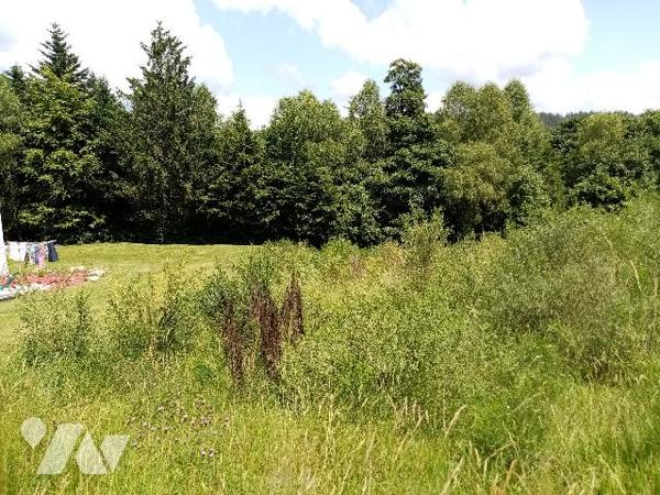 Secteur col de bonnefontaine , 2 parcelles de terrain à bâtir d'environ 1000 m² chacune.