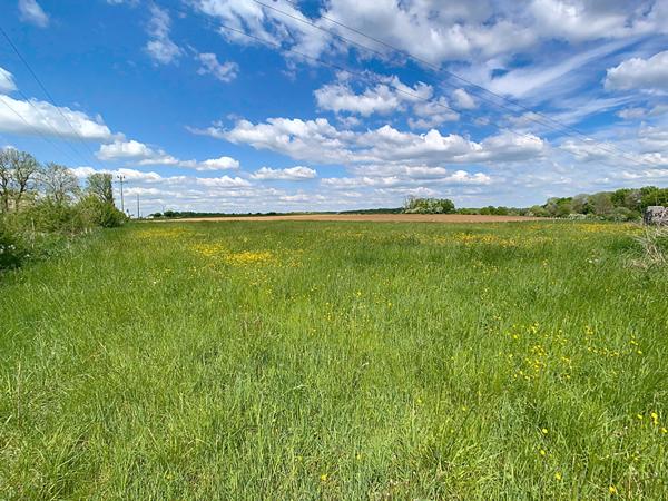 Achat local commercial Val-de-Meuse - 749 m² - 88 000 €