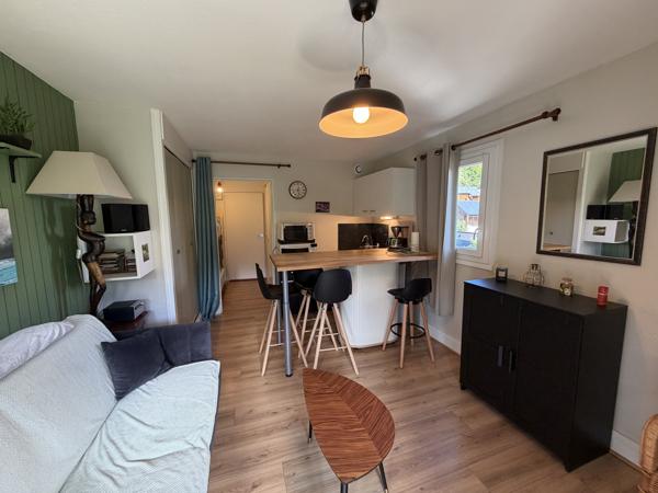 Appartement entièrement rénové à 200 m des pistes de sk