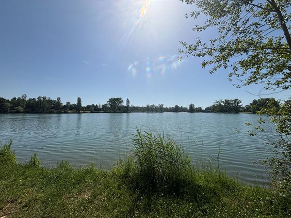 T2 rez de jardin - Lac de Bègles , Begles