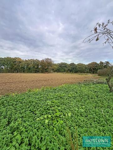 Maison à vendre à HENON - Un potentiel à exploiter !