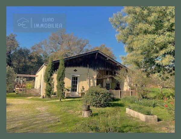 Demeure d’exception du XVIe siècle entièrement restaurée – 160 m² – DPE C – Isolation naturelle, séchoir équipé et refuge LPO sur 2 ha  - GIRONDE (33) -  AQUITAINE
