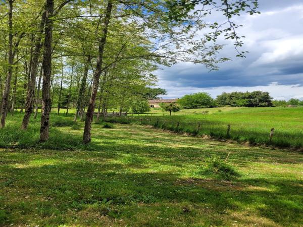 Demeure d’exception du XVIe siècle entièrement restaurée – 160 m² – DPE C – Isolation naturelle, séchoir équipé et refuge LPO sur 2 ha  - GIRONDE (33) -  AQUITAINE