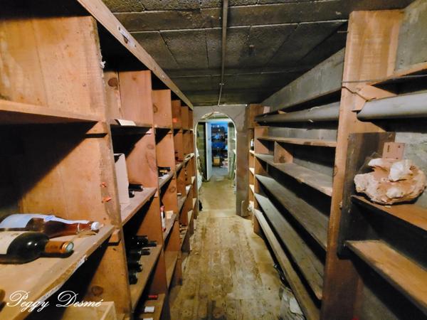 Maison à vendre 7 pièces CHAMBRAY LES TOURS (37) - 5 chambres + 1 bureau - 150 m2 habitables + 70 m2 sous-sol - Jardin