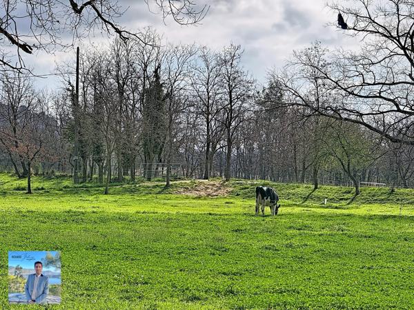 Maison et jardin en pleine nature
