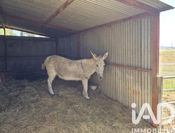 Maison à vendre 16 pièces 373 m² Béziers