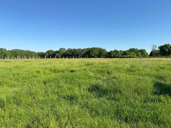 Terrain à bâtir 1354 m²