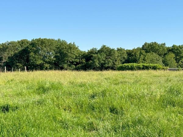Terrain à bâtir 1354 m²