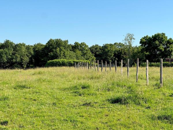 Terrain à bâtir 1354 m²
