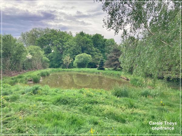 Dpt Creuse (23), à vendre à Colondannes cinq maisons ossature bois - Terrain 1,10 ha