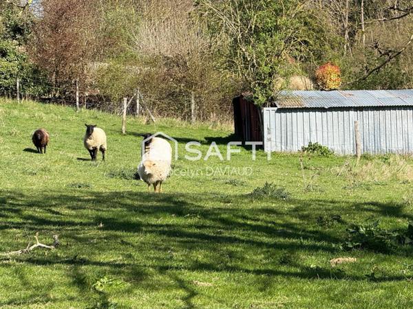 Venez découvrir ce domaine à Saumur, au calme sur 13000 m2 de terrain