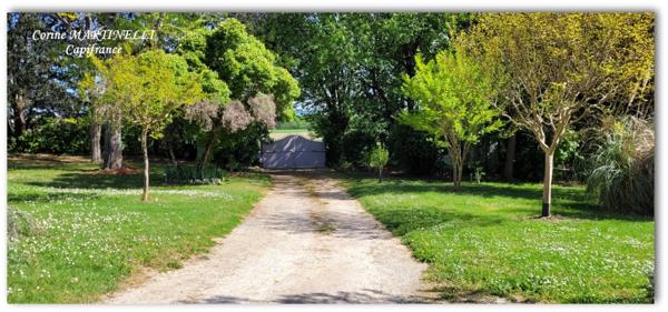 A vendre maison en pierre 200 m² avec Parc 8560 m² arboré