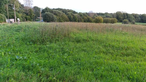 Plouagat (22170) terrain constructible de 905m2