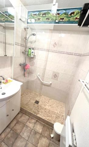 À Deux pas des Pistes Studio cabine de 23m2avec balcon, cave et place de parking privatif