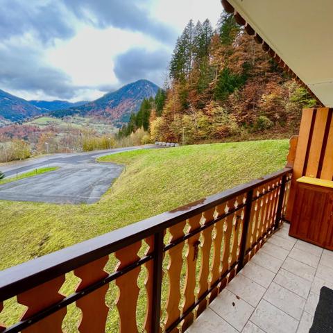 À Deux pas des Pistes Studio cabine de 23m2avec balcon, cave et place de parking privatif