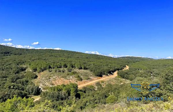 Terrain de 76 Ha, en zone naturelle de Montarnaud (34)