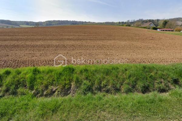 À seulement quelques minutes d’Épernay, sur la commune de Grauves, ce terrain agricole d’environ 2 102 m².
Un bien rare sur le secteur, idéal pour conjuguer investissement sécurisé et projet lié à la terre.
Un fort potentiel d’exploitation :
✔️ Activité agricole ou maraîchère
✔️ Verger, pâturage ou cultures spécialisées
✔️ Installation de structures agricoles (hangar, serre, stockage) en lien avec une activité déclarée
✔️ Projet rural, de loisirs ou de valorisation foncière
 Un emplacement stratégique :
•	Proximité immédiate d’Épernay 
•	Secteur recherché et dynamique 
•	Cadre naturel préservé 
Un investissement d’avenir :
Dans un contexte où le foncier agricole devient une valeur refuge, ce terrain représente une opportunité patrimoniale durable et sécurisée.
Terrain non constructible à usage d’habitation (zone agricole), garantissant tranquillité et préservation de l’environnement.
 Bien rare sur le marché – à saisir rapidement !
 Contactez moi dès maintenant pour plus d’informations ou organiser une visite