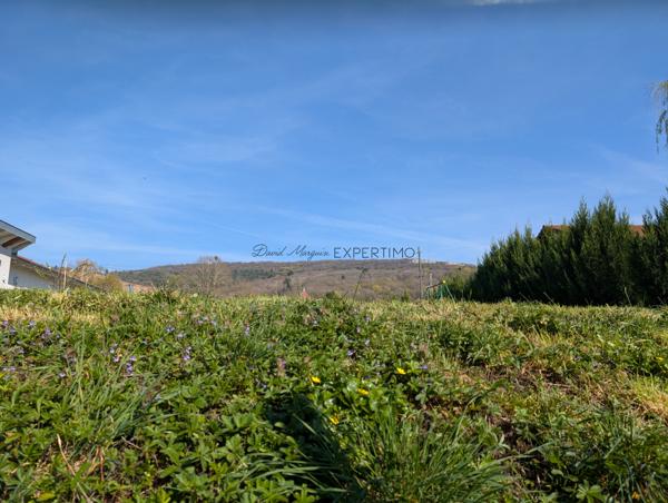 Ceyzériat (01250) Maison de village en pierre – Fort potentiel – Les Soudanières