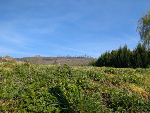 Ceyzériat (01250) Maison de village en pierre – Fort potentiel – Les Soudanières