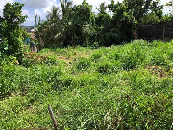 PARCELLE DE 515 M2 - SAINT-ESPRIT