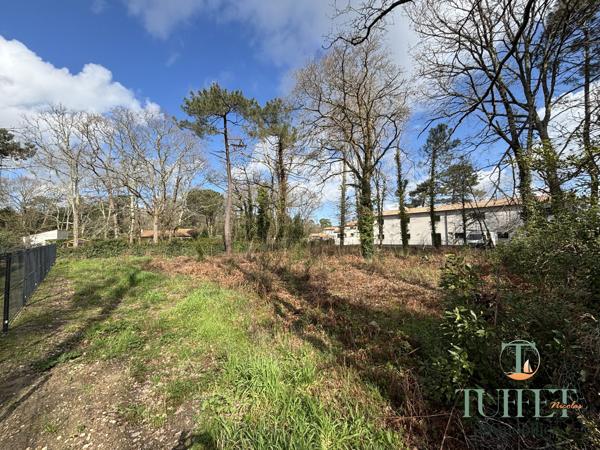 A vendre- Terrain à batir aux portes de Ronce-Les-Bains