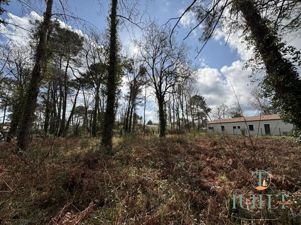 A vendre- Terrain à batir aux portes de Ronce-Les-Bains