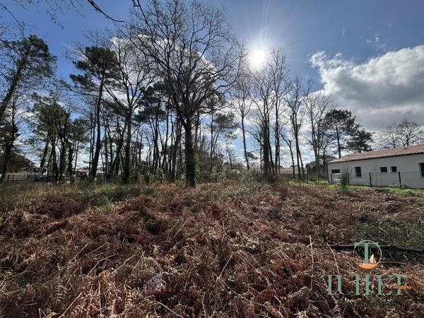 A vendre- Terrain à batir aux portes de Ronce-Les-Bains