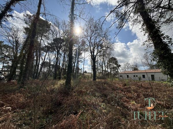 A vendre- Terrain à batir aux portes de Ronce-Les-Bains