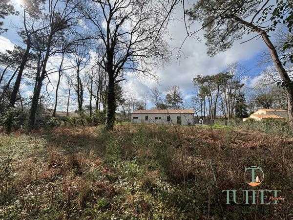 A vendre- Terrain à batir aux portes de Ronce-Les-Bains