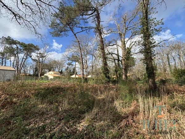 A vendre- Terrain à batir aux portes de Ronce-Les-Bains