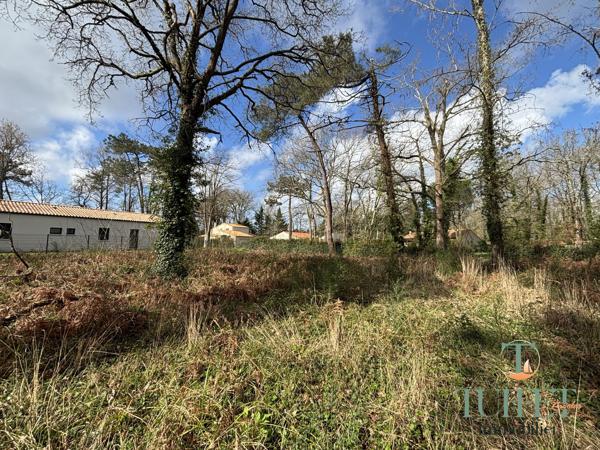 A vendre- Terrain à batir aux portes de Ronce-Les-Bains