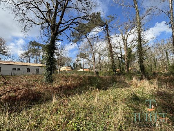 A vendre- Terrain à batir aux portes de Ronce-Les-Bains
