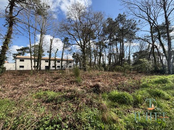 A vendre- Terrain à batir aux portes de Ronce-Les-Bains
