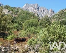 Terrain à vendre 47 407 m² Morosaglia