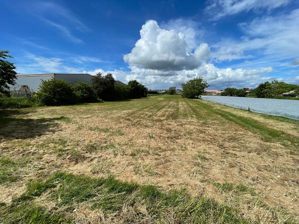 Terrain Sainte-Livrade-sur-Lot de 5 167 m² en zone UX