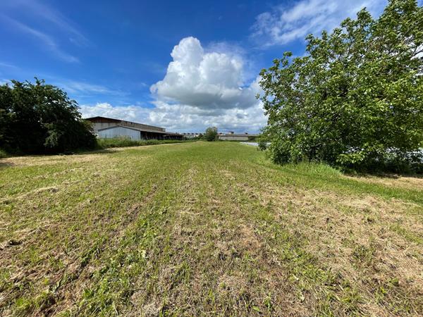 Terrain Sainte-Livrade-sur-Lot de 5 167 m² en zone UX