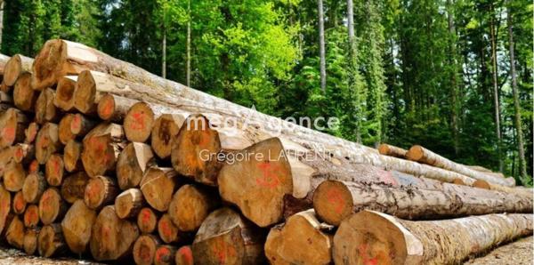 Terrain à LANDEVANT, 56690 - 70060m²