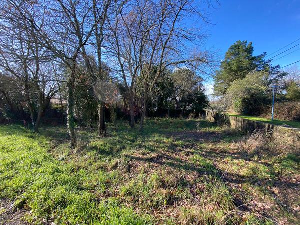 Terrain Bretignolles Sur Mer 262 m2