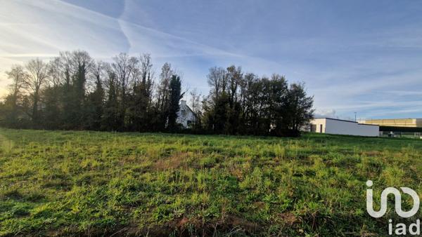 Terrain à vendre 471 m² Muzillac
