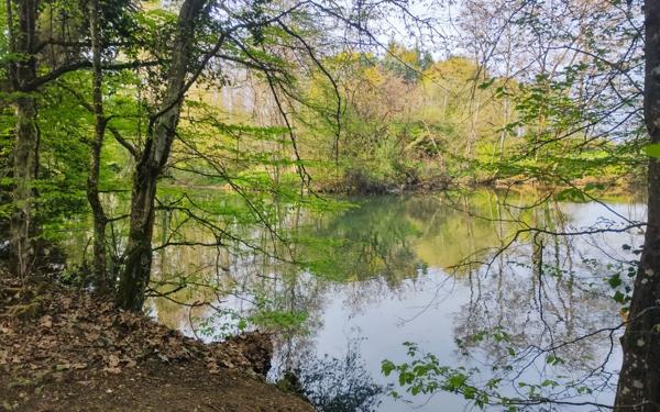 Appartement à vendre    1 pièce • 25,47 m2 Olivet