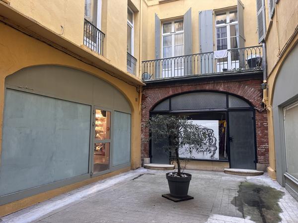 Grand Appartement Centre ville