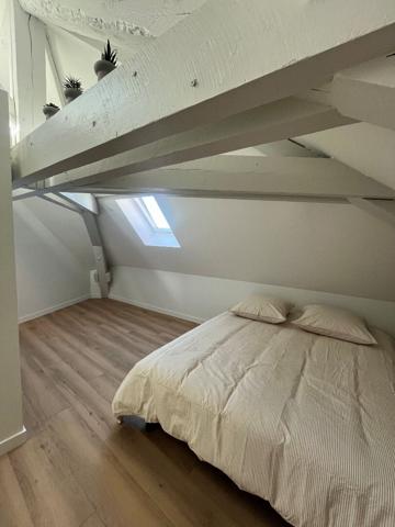 Clermont-Fd, centre ville, appartement meublé type 3 de 79.90m² - Pro Immo