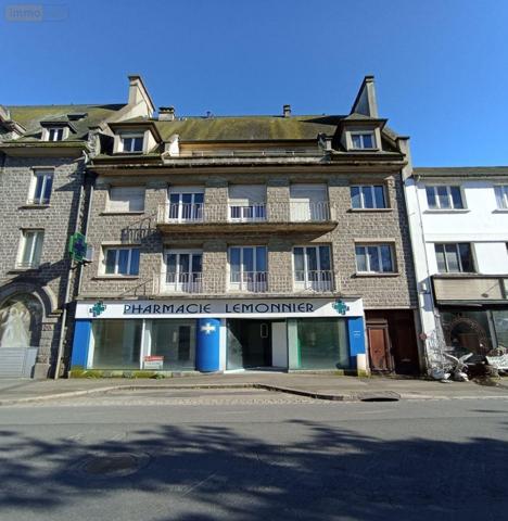 Local mixte (Pro/Hab) à vendre à Condé-en-Normandie dans le Calvados (14110), ref : 14085-3663