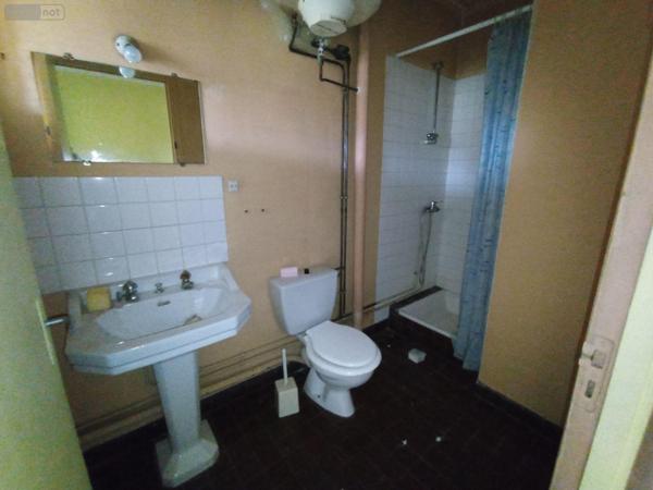 Local mixte (Pro/Hab) à vendre à Condé-en-Normandie dans le Calvados (14110), ref : 14085-3663