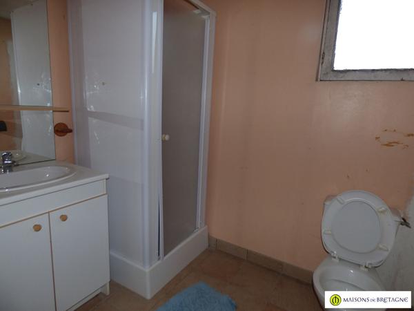 29380 bannalec Bannalec, immeuble avec appartement et commerce