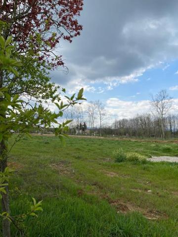 Terrain à vendre à Valence (26000)